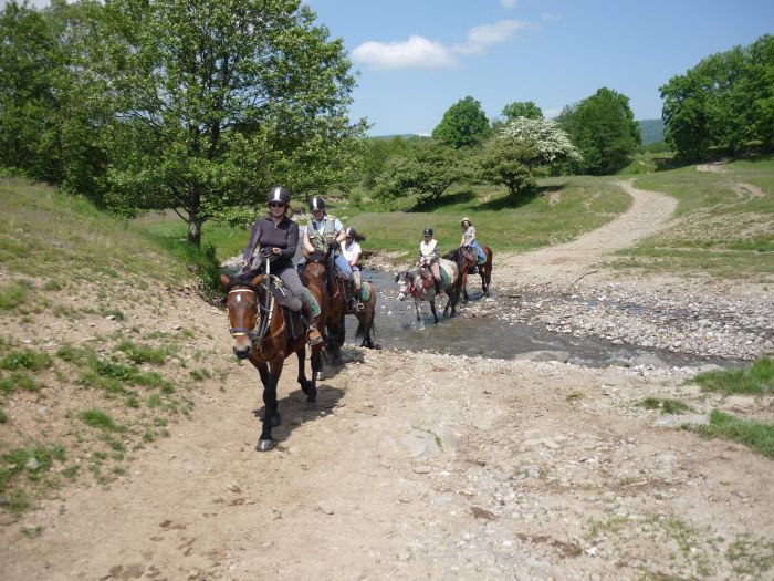 Transsilvanien Trail mit Komfort