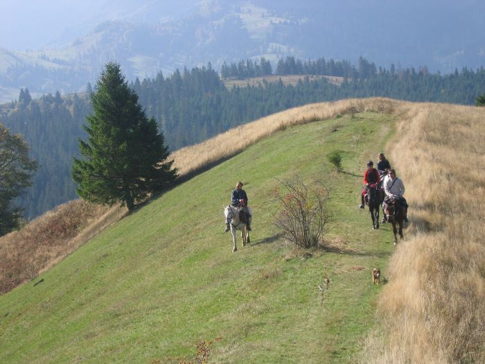 Transsilvanien Trail mit Komfort