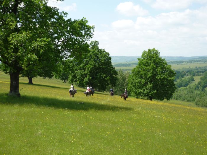 Transsilvanien Trail mit Komfort