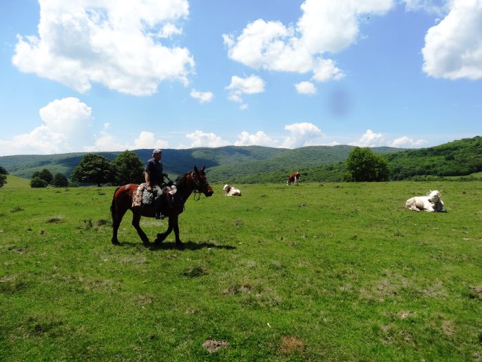 Transsilvanien Trail mit Komfort