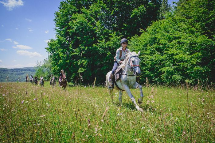 Transsilvanien Trail mit Komfort