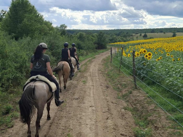 Zweil&auml;nder-Karsttrail