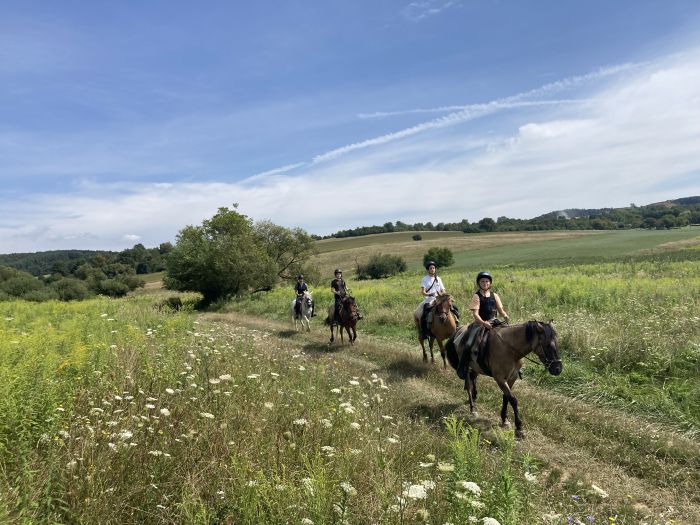 Zweil&auml;nder-Karsttrail