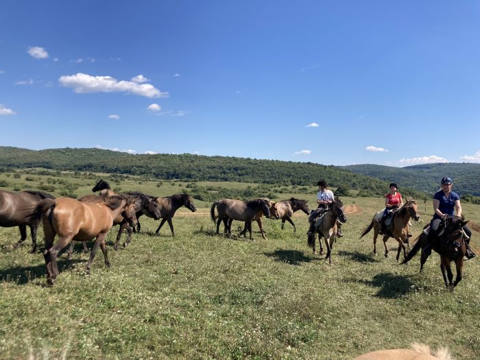 Zweil&auml;nder-Karsttrail
