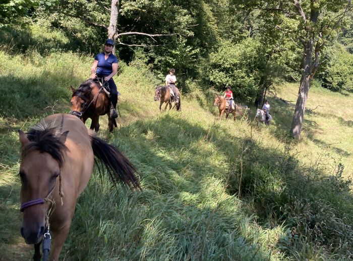 Zweil&auml;nder-Karsttrail