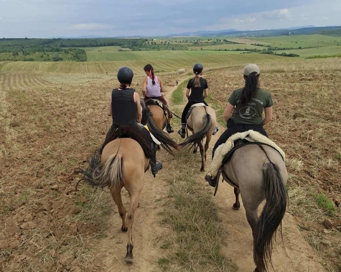 Zweil&auml;nder-Karsttrail