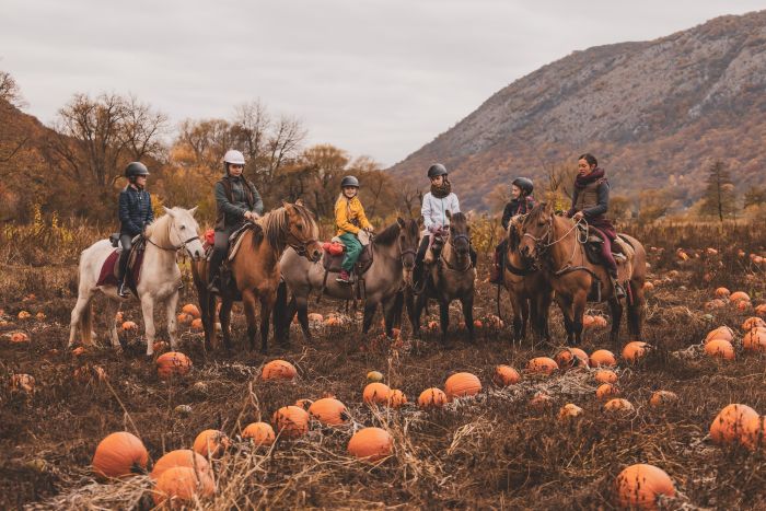 Zweil&auml;nder-Karsttrail