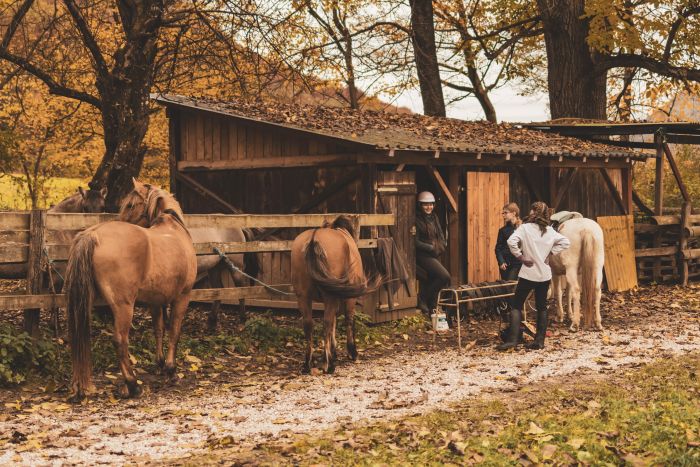 Zweil&auml;nder-Karsttrail