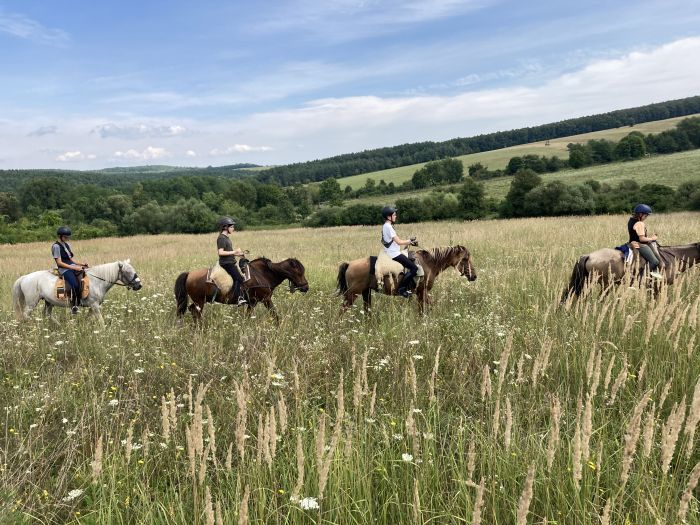 Zweil&auml;nder-Karsttrail