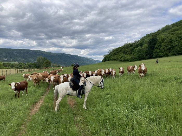 Zweil&auml;nder-Karsttrail