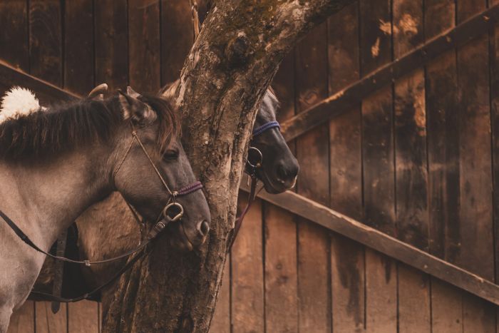 Zweil&auml;nder-Karsttrail