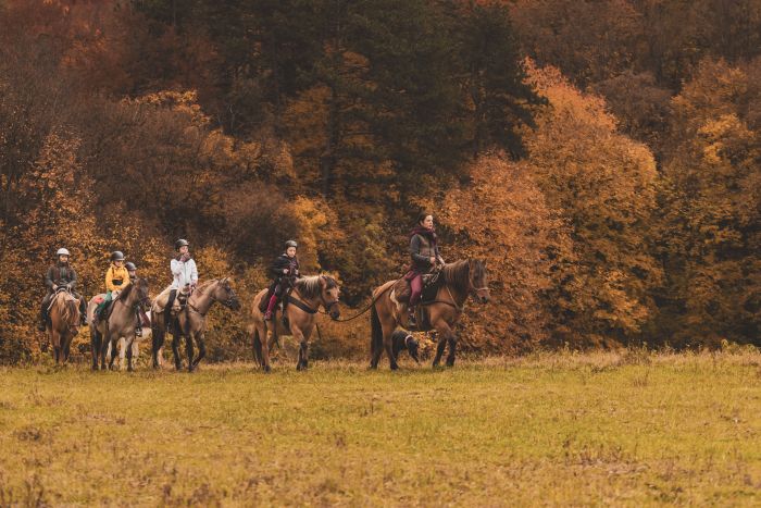 Zweil&auml;nder-Karsttrail