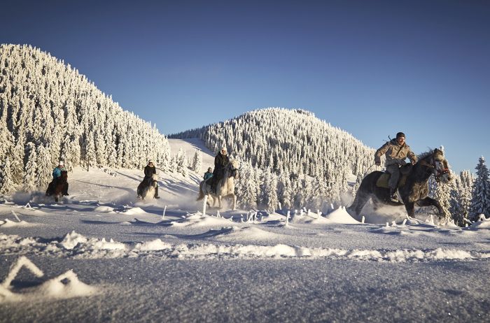 Siebenbürgen & Hasmas Nationalparkritte