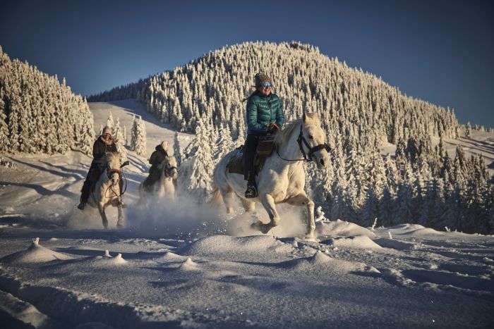 Siebenbürgen & Hasmas Nationalparkritte