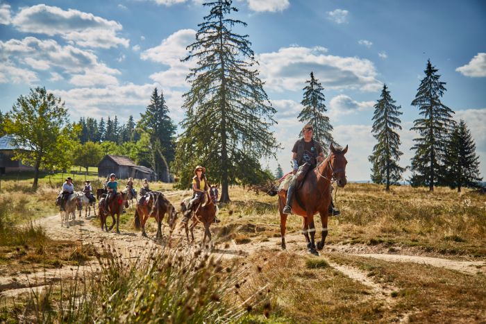 Siebenbürgen & Hasmas Nationalparkritte