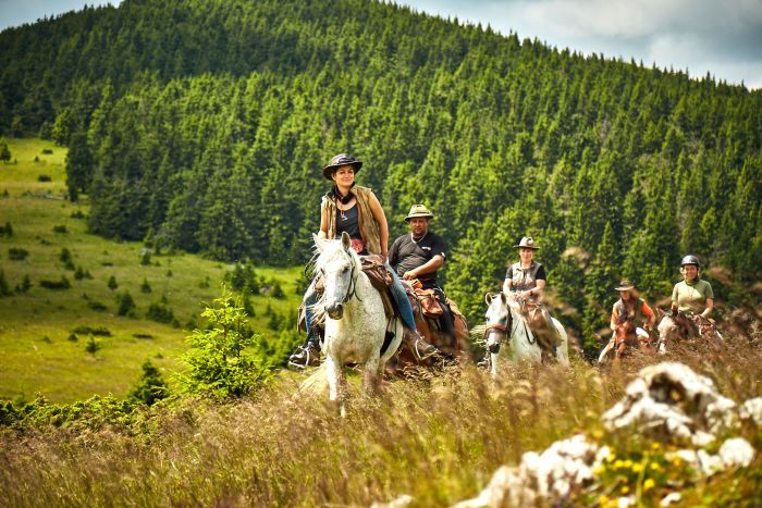 Siebenbürgen & Hasmas Nationalparkritte