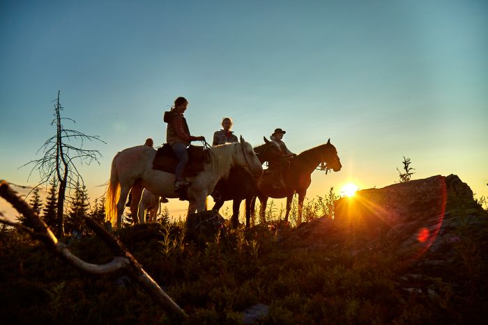 Siebenbürgen & Hasmas Nationalparkritte