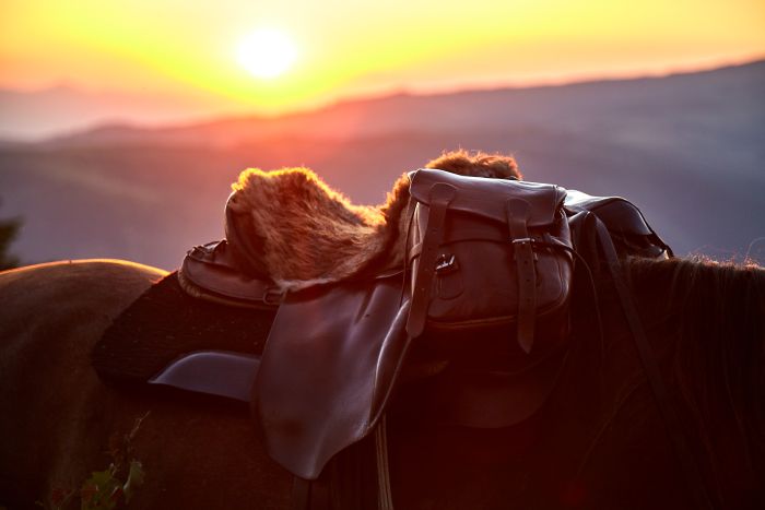 Siebenbürgen & Hasmas Nationalparkritte