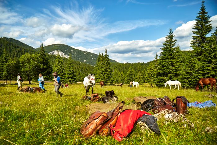 Hasmas Nationalparkritte