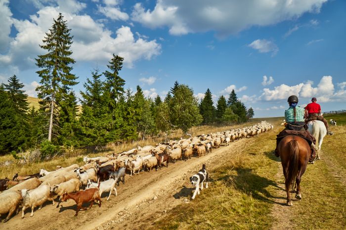 Hasmas Nationalparkritte