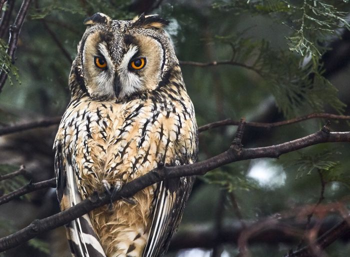 Hasmas Nationalparkritte