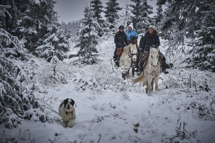 Siebenbürgen & Hasmas Nationalparkritte