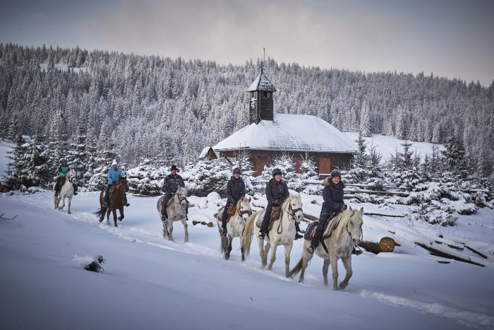 Siebenbürgen & Hasmas Nationalparkritte