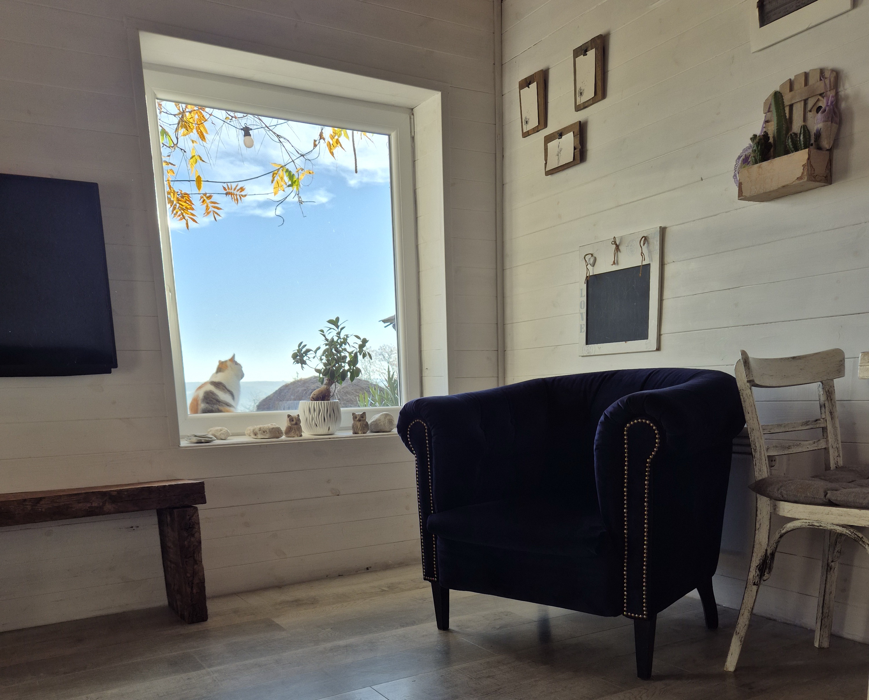 Westernreiten in Ungarn Unterkunft