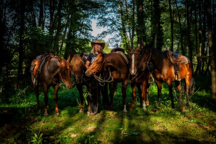 Westernreiten in Ungarn