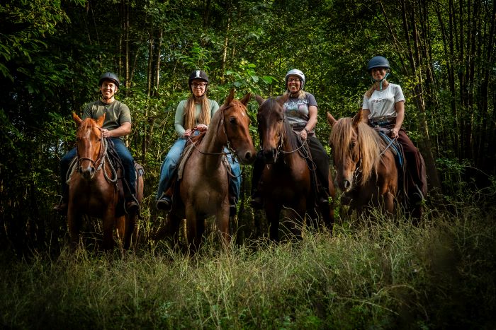 Westernreiten in Ungarn