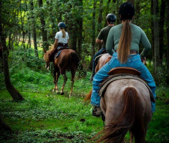Westernreiten in Ungarn