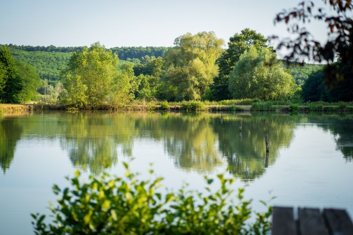 Westernreiten in Ungarn