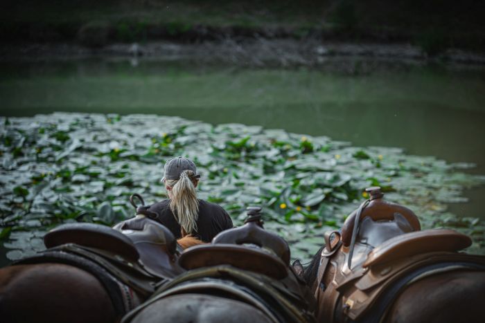 Westernreiten in Ungarn