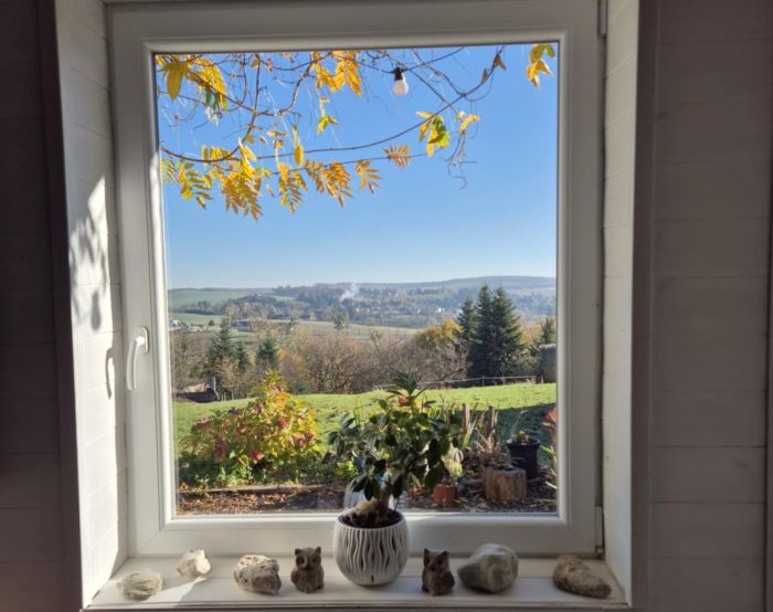 Westernreiten in Ungarn