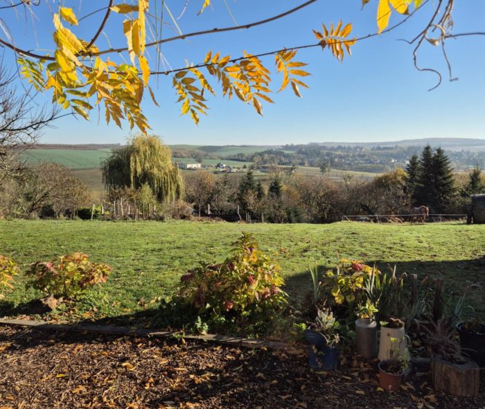 Westernreiten in Ungarn