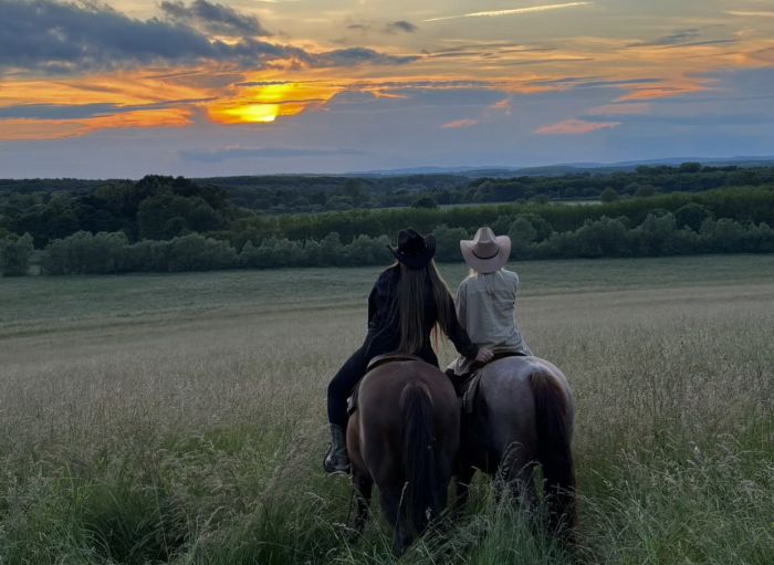 Westernreiten in Ungarn