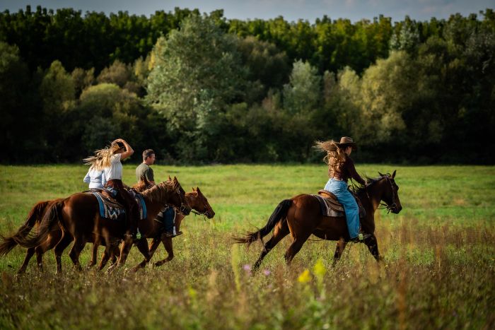 Westernreiten in Ungarn