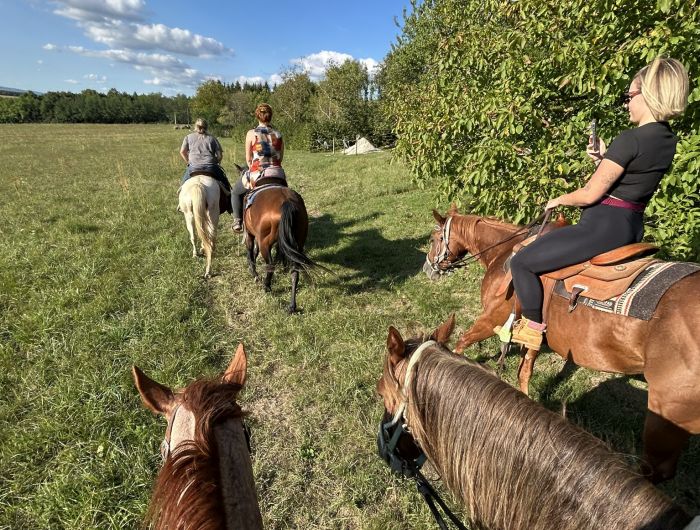 Westernreiten in Ungarn