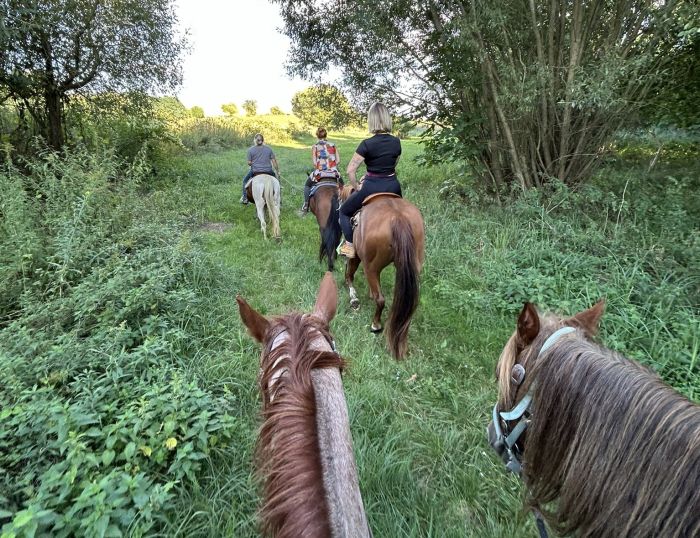 Westernreiten in Ungarn