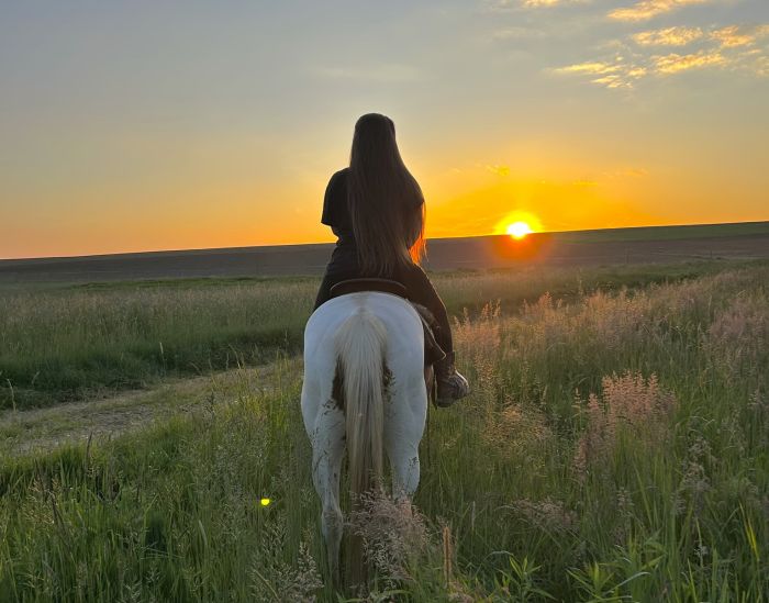 Westernreiten in Ungarn