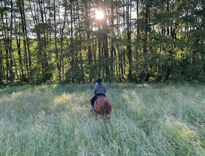 Westernreiten in Ungarn