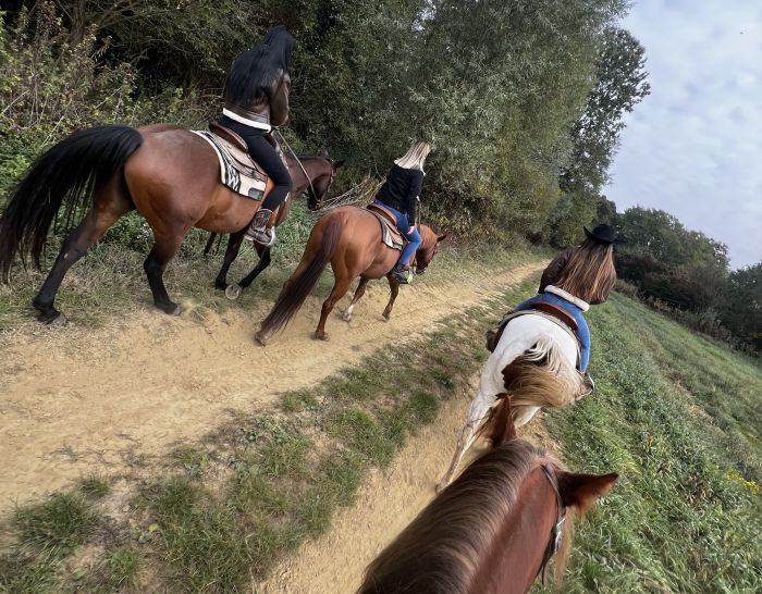 Westernreiten in Ungarn