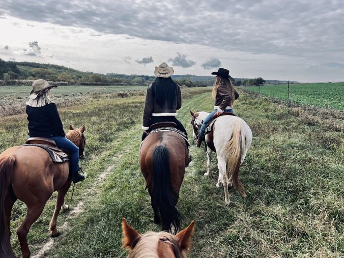 Westernreiten in Ungarn