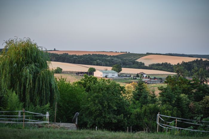 Westernreiten in Ungarn