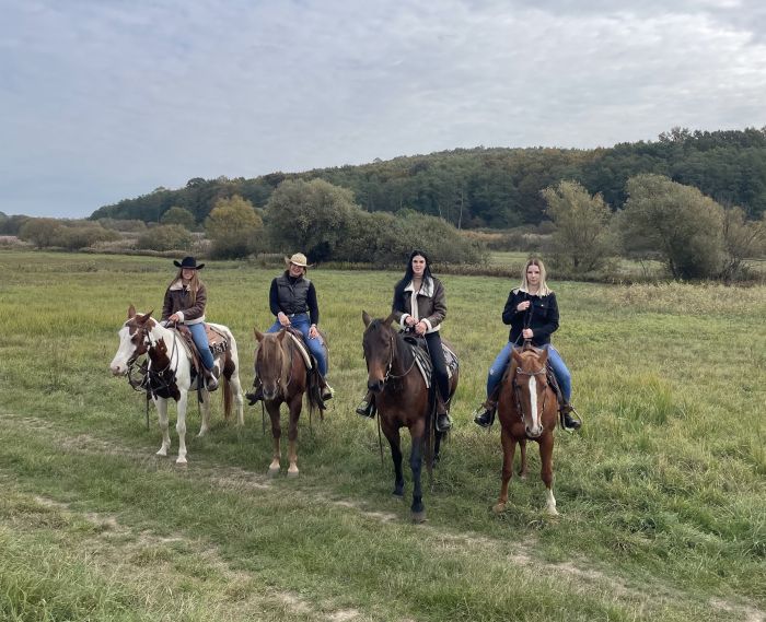 Westernreiten in Ungarn