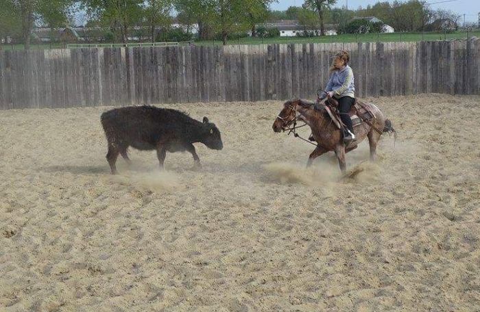 Westernreiten in Ungarn