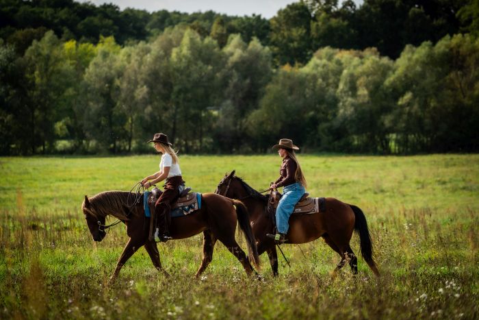 Westernreiten in Ungarn