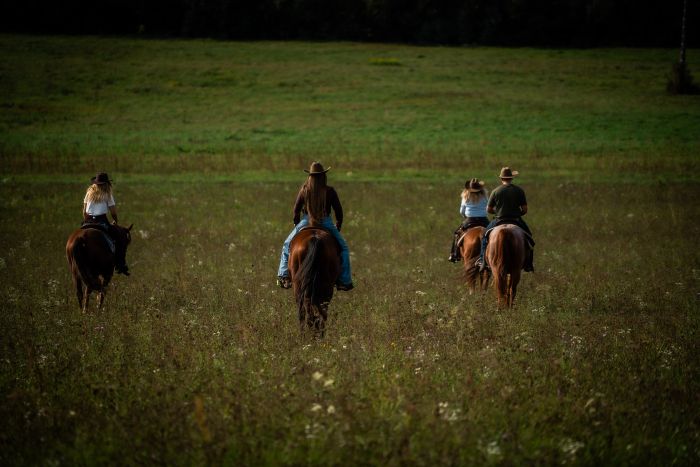 Westernreiten in Ungarn