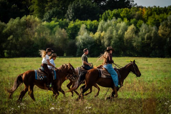 Westernreiten in Ungarn