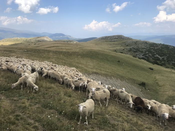 Auf den Spuren der Miyak